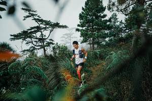 BIB: 
                            <button type="button" onclick="openModal(25258494)" class="btn btn-primary btn-sm float-right btn-popup" data-toggle="modal" data-target=".modal-high-quality">
                        <i class="fas fa-shopping-cart"></i> Add to Cart
                    </button>
                                            <button type="button" onclick="isThisMe(25258494, true)" class="btn btn-success btn-sm float-right btn-popup btn-isme hidden" data-toggle="tooltip" data-placement="bottom" title="นี่คือรูปของคุณใช่ไหม คลิกที่นี่เพื่อเอาเข้าอัลบั้ม">
                        <i class="fas fa-plus"></i> Add to album
                    </button>
                    <button type="button" onclick="isThisMe(25258494, false)" class="btn btn-warning btn-sm float-right btn-popup btn-isnotme hidden">
                        <i class="fas fa-ban"></i> Remove from album
                    </button>